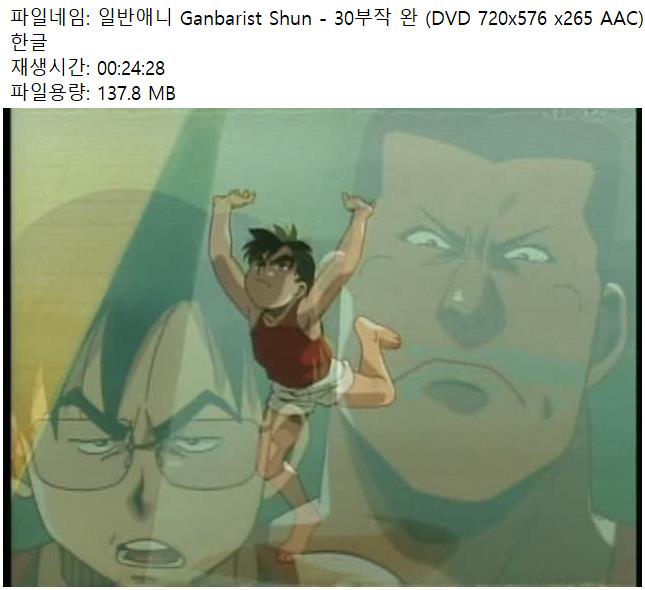 일반애니 Ganbarist Shun - 30부작 완 (DVD 720x576 x265 AAC) 한글