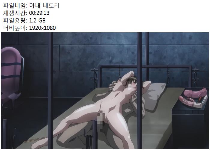 아내 네토리