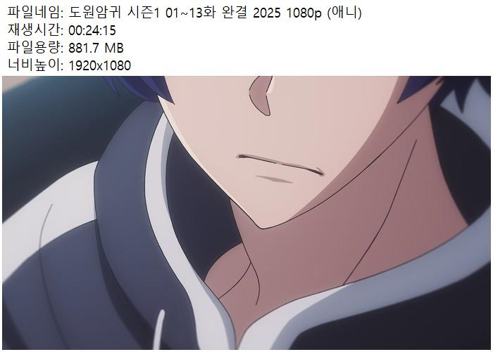도원암귀 시즌1 01 13화 완결 2025 1080p (애니)