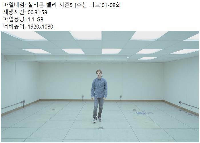실리콘 밸리 시즌5 01-08회 1080 한글