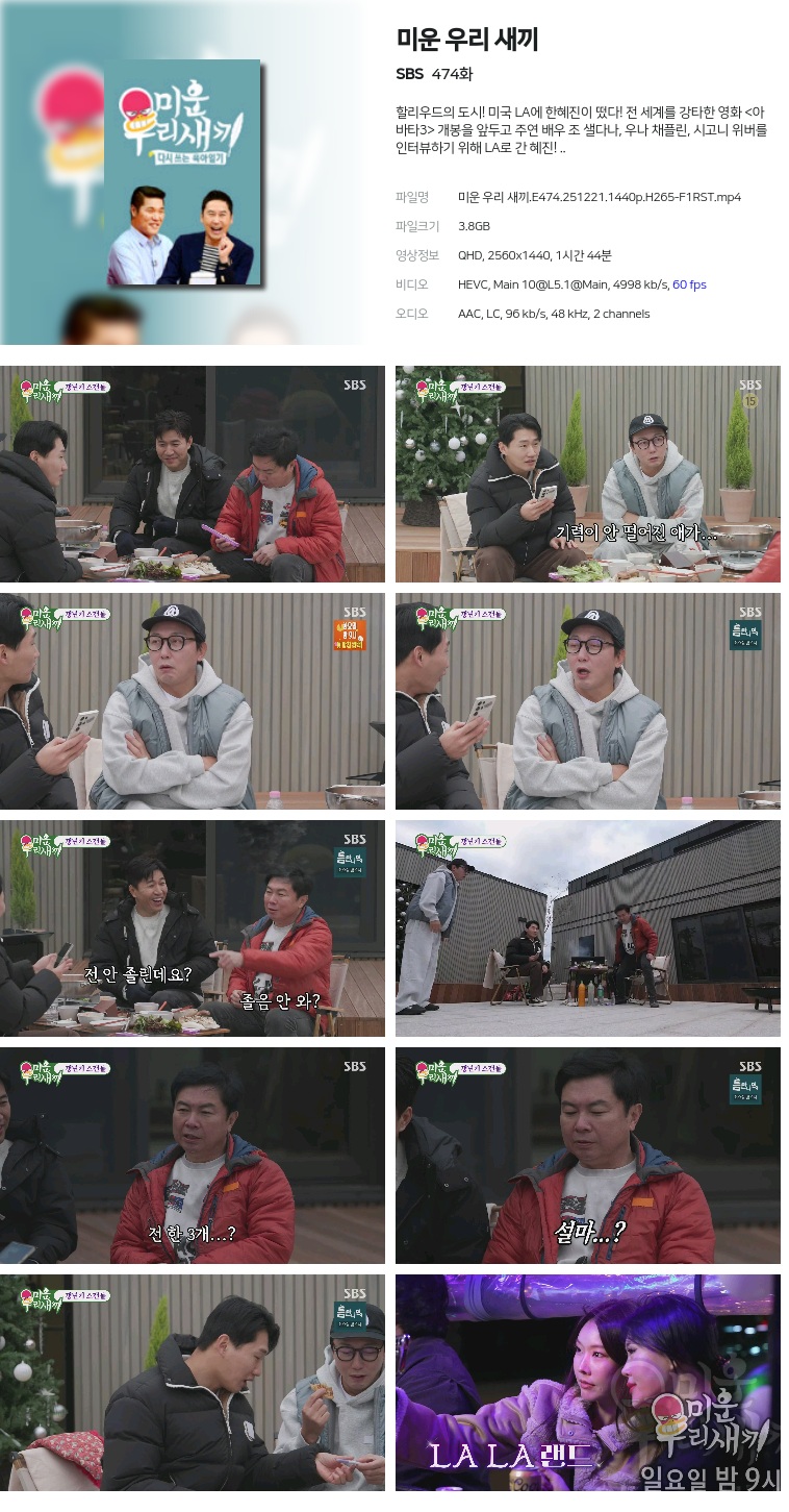 [SBS] 미운 우리 새끼.E474.251221.1440p.H265-F1RST