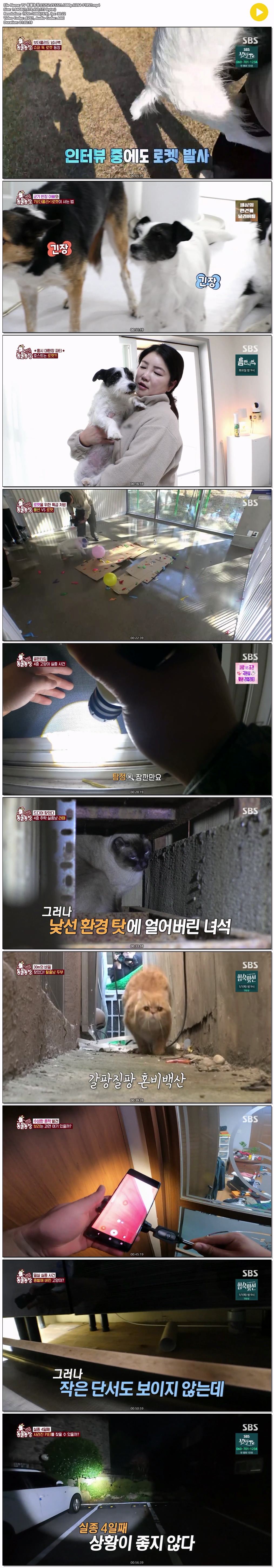 TV 동물농장.E1252.251221.1080p.H264-F1RST