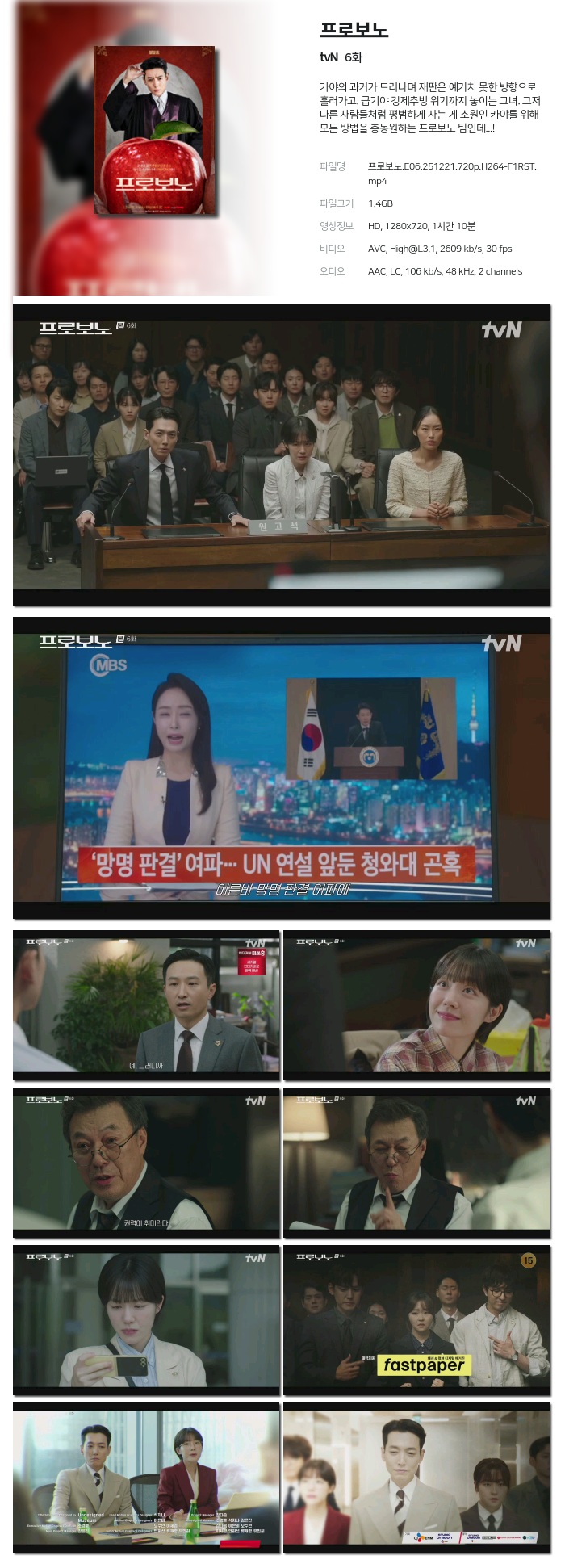 [tvN] 프로보노.E06.251221.720p.H264-F1RST