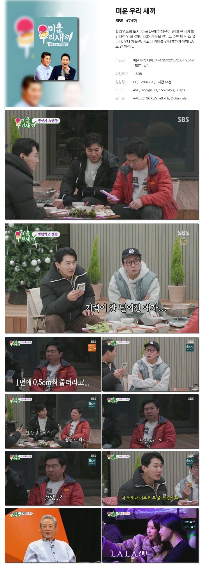 [SBS] 미운 우리 새끼.E474.251221.720p.H264-F1RST