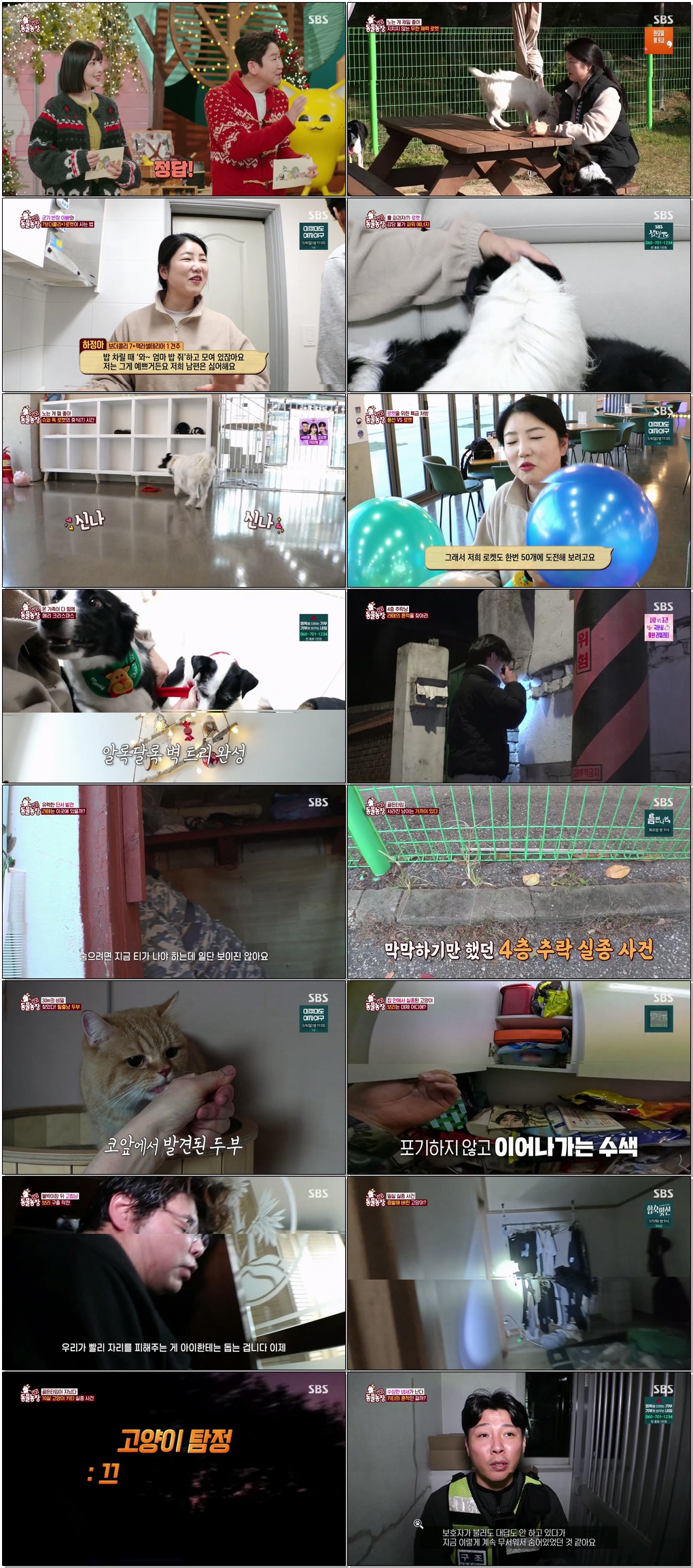 TV 동물농장.E1252.251221.1080p.H265