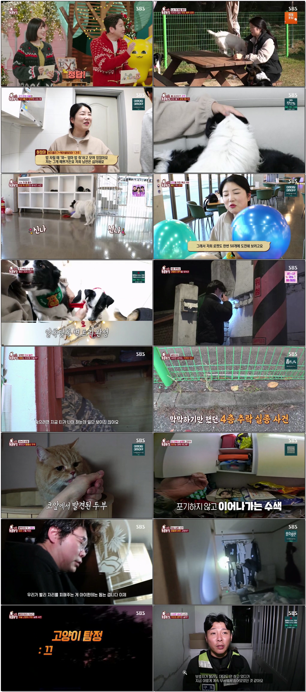 TV 동물농장.E1252.251221 .720p.H265