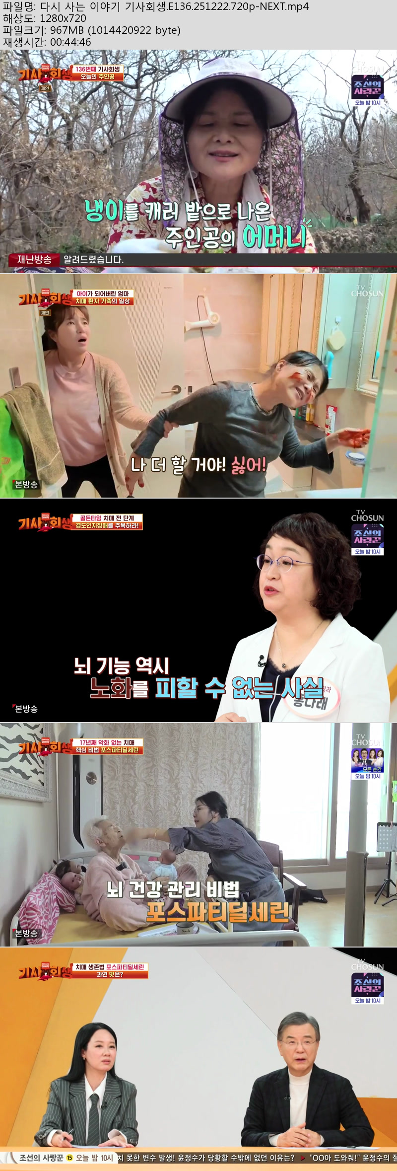 다시 사는 이야기 기사회생.E136.251222.720p-NEXT