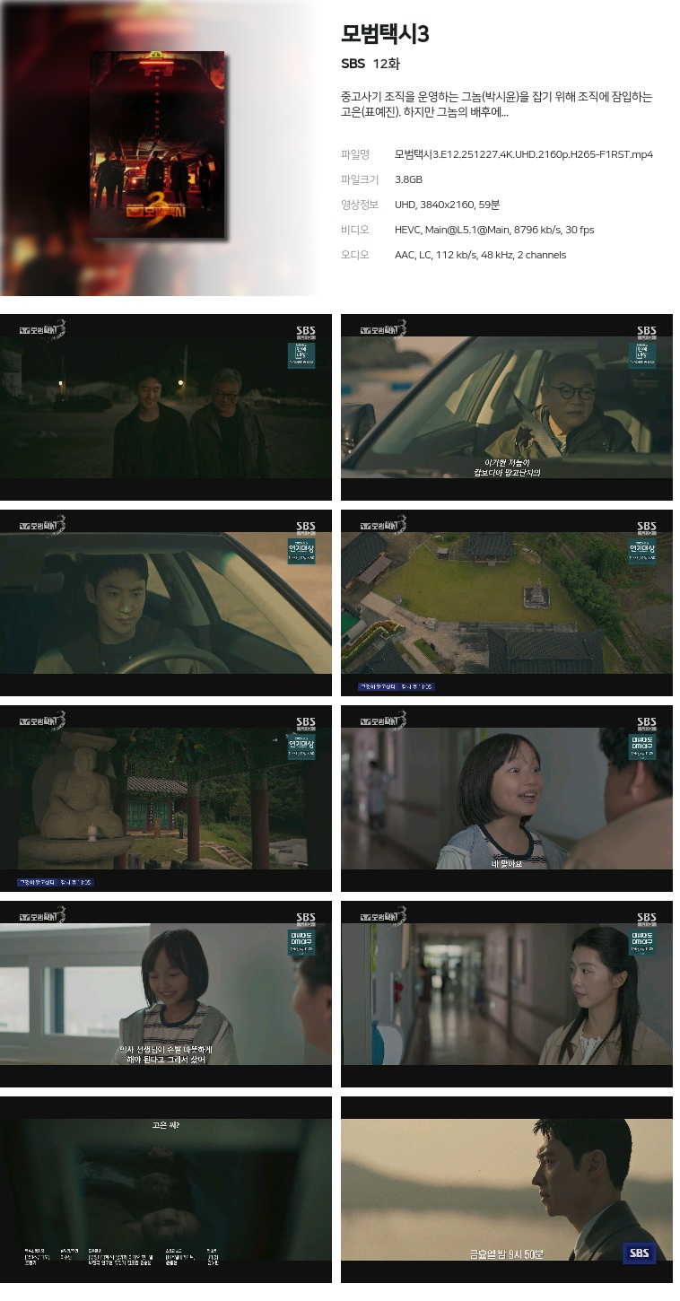 [SBS] 모범택시3.E12.251227.4K.UHD.2160p.H265-F1RST