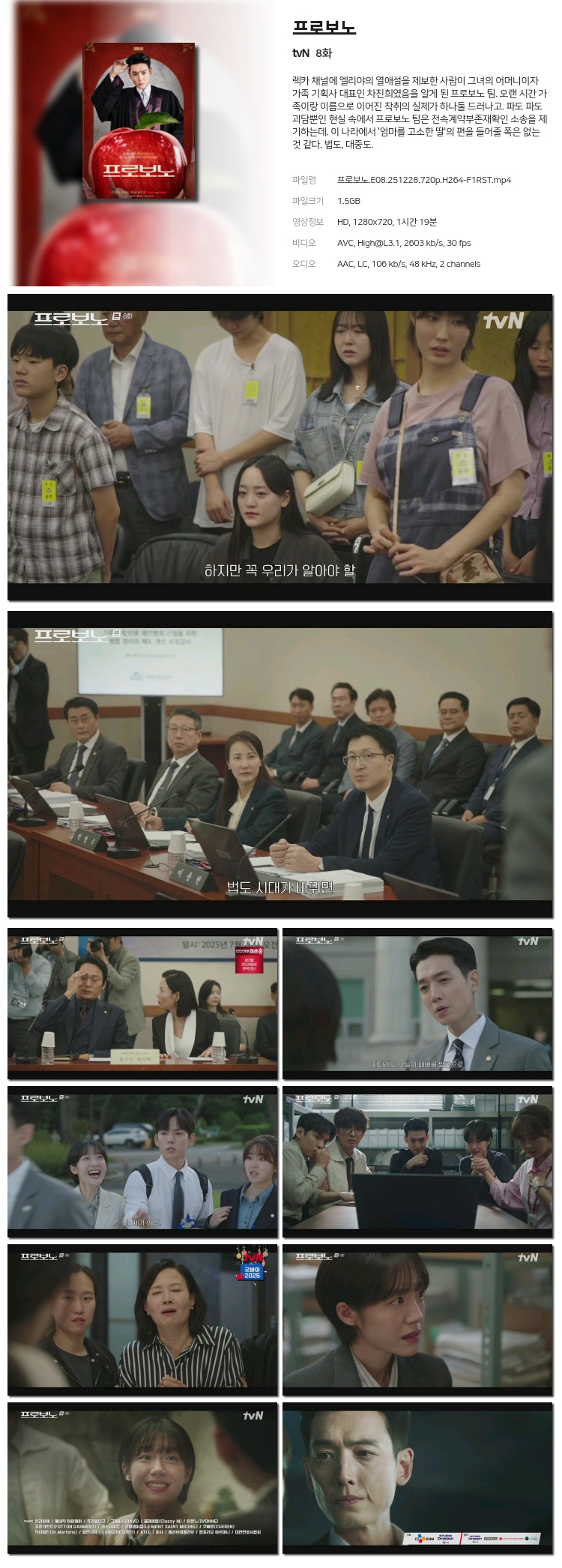 프로보노.E08.251228.720p.H264-F1RST