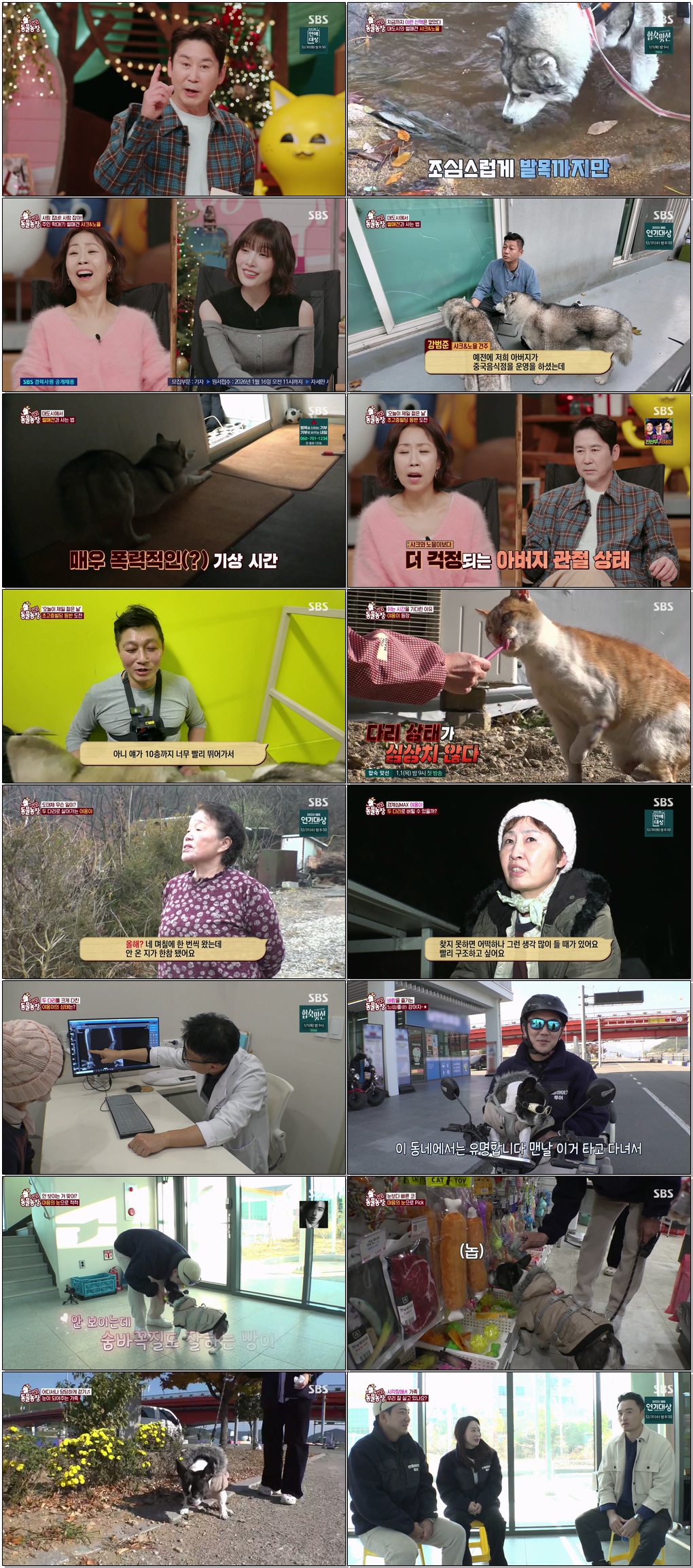 TV 동물농장.E1253.251228.1080p.H265