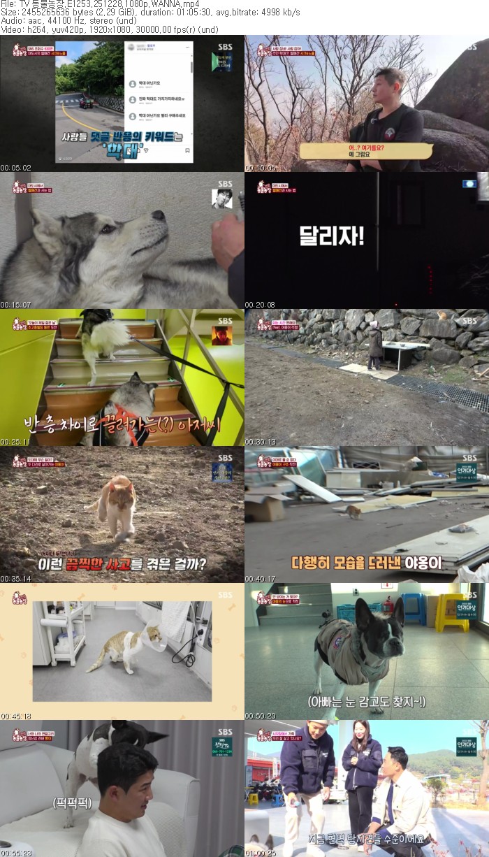 TV 동물농장.E1253.251228.1080p.WANNA