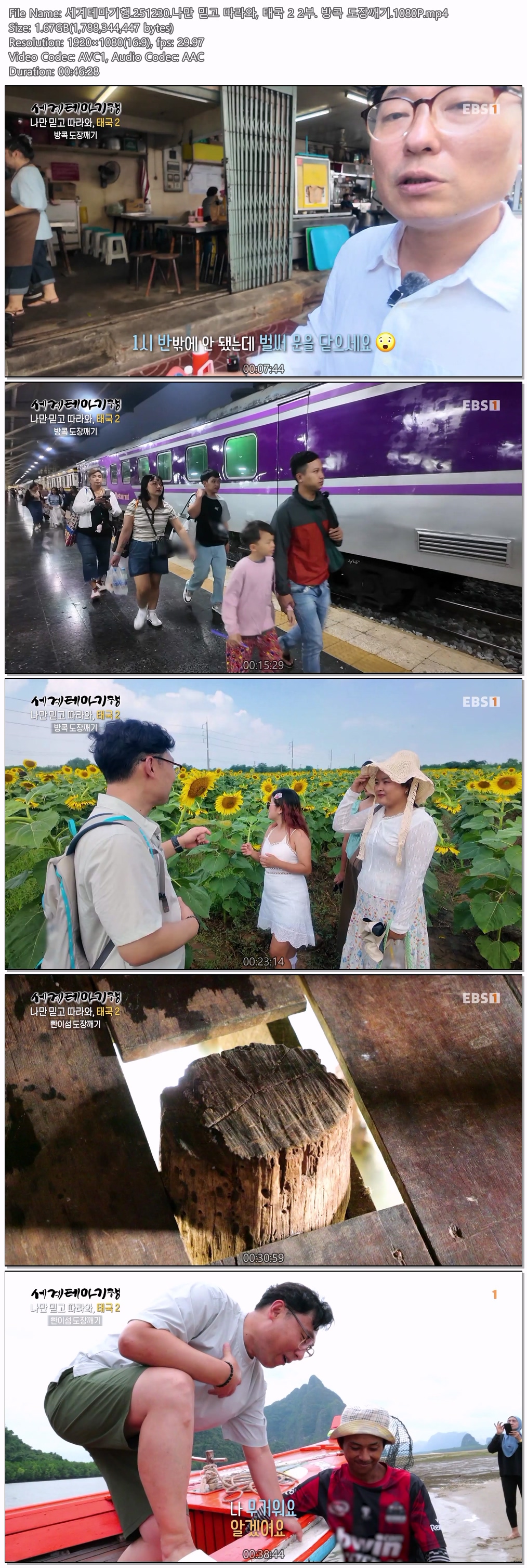 세계테마기행.251230.나만 믿고 따라와, 태국 2 2부. 방콕 도장깨기.1080P