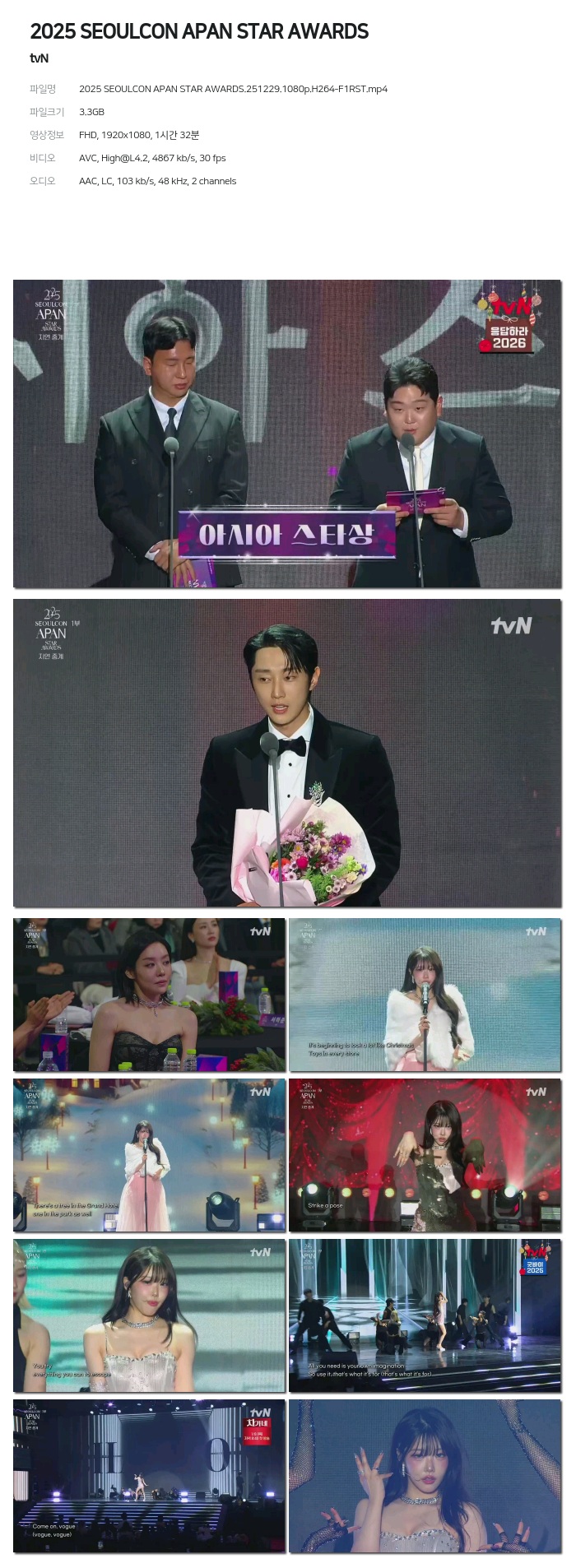 [tvN] 2025 SEOULCON APAN STAR AWARDS.251229.1080p.H264-F1RST