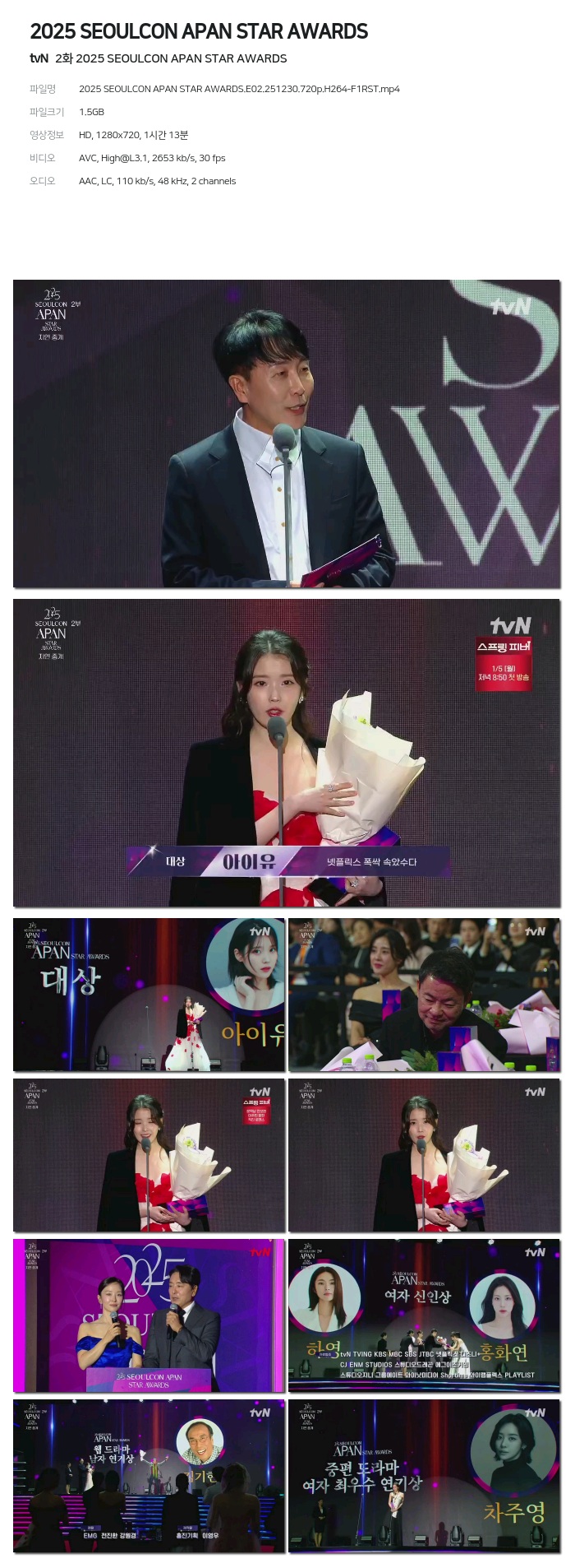 [tvN] 2025 SEOULCON APAN STAR AWARDS.E02.251230.720p.H264-F1RST