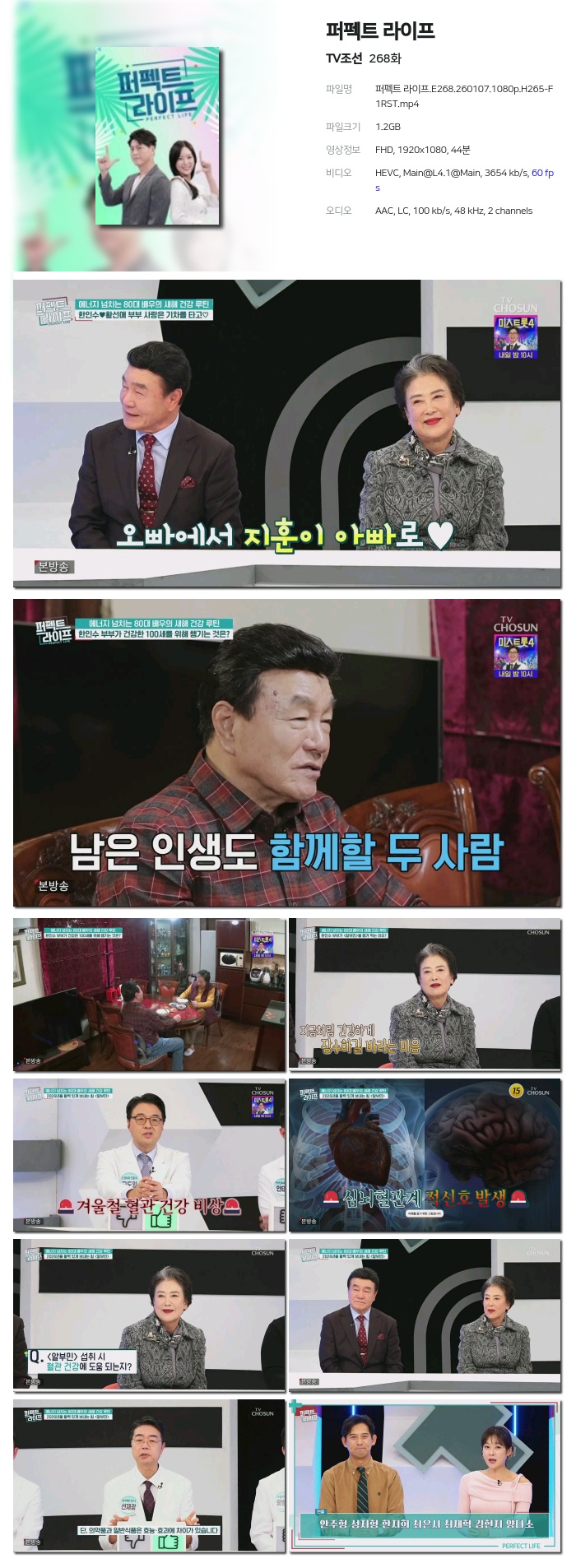 [TV조선] 퍼펙트 라이프.E268.260107.1080p.H265-F1RST