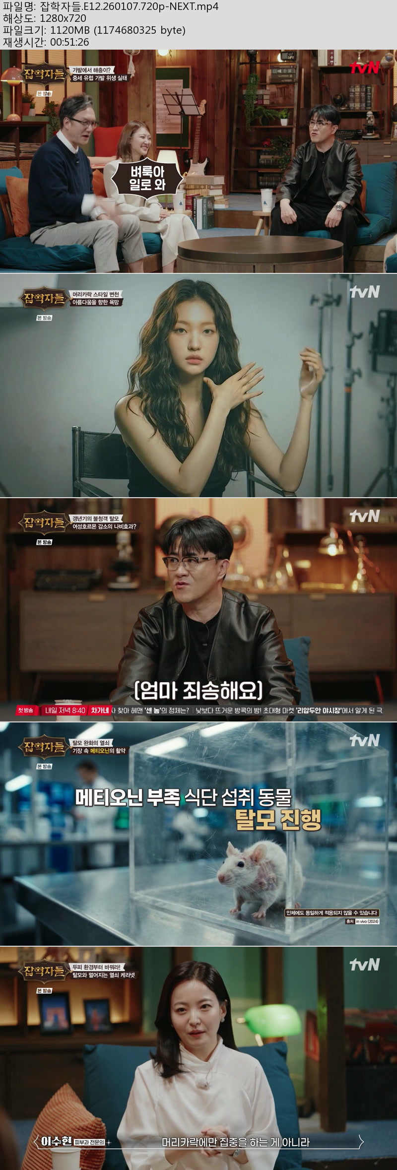잡학자들.E12.260107.720p-NEXT