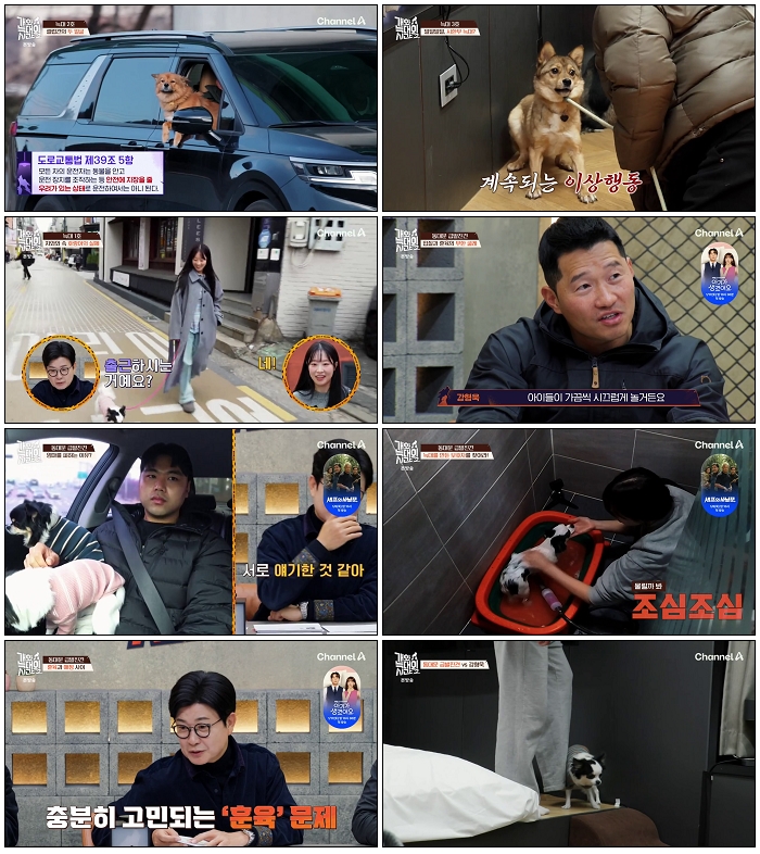 개와 늑대의 시간 2.E01.260107.720p-NEXT