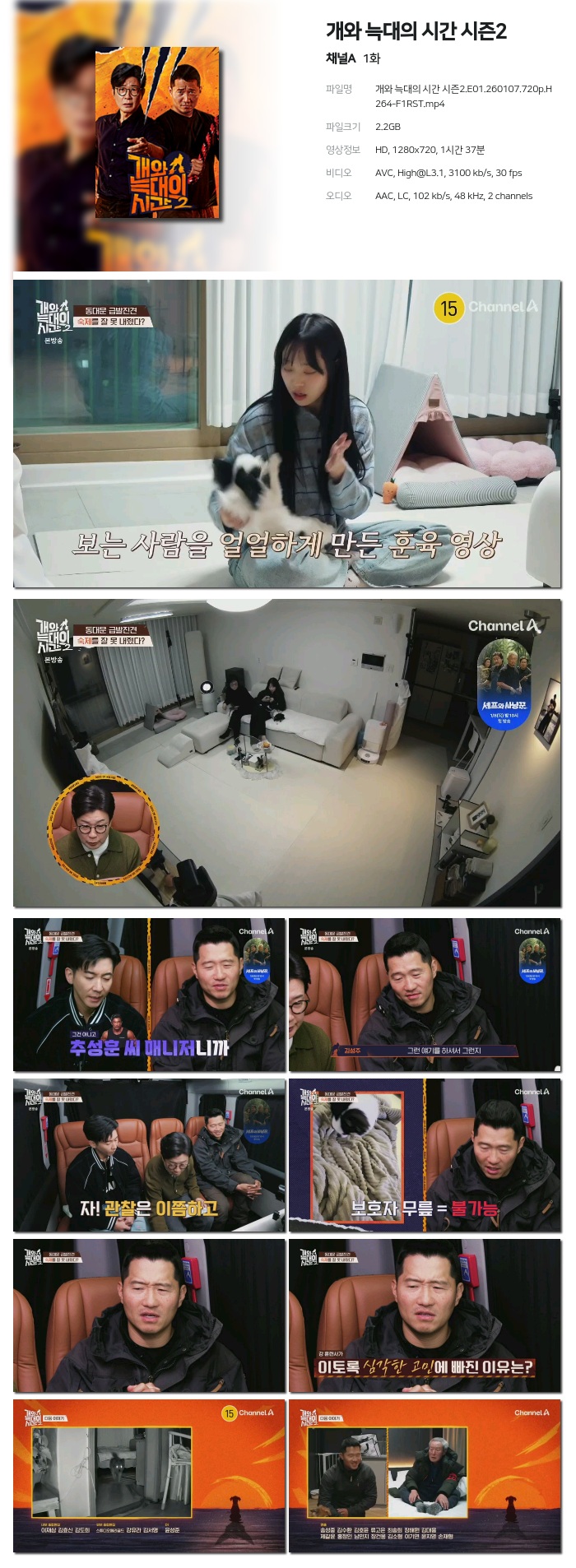 개와 늑대의 시간 시즌2.E01.첫방송.260107.720p.H264-F1RST