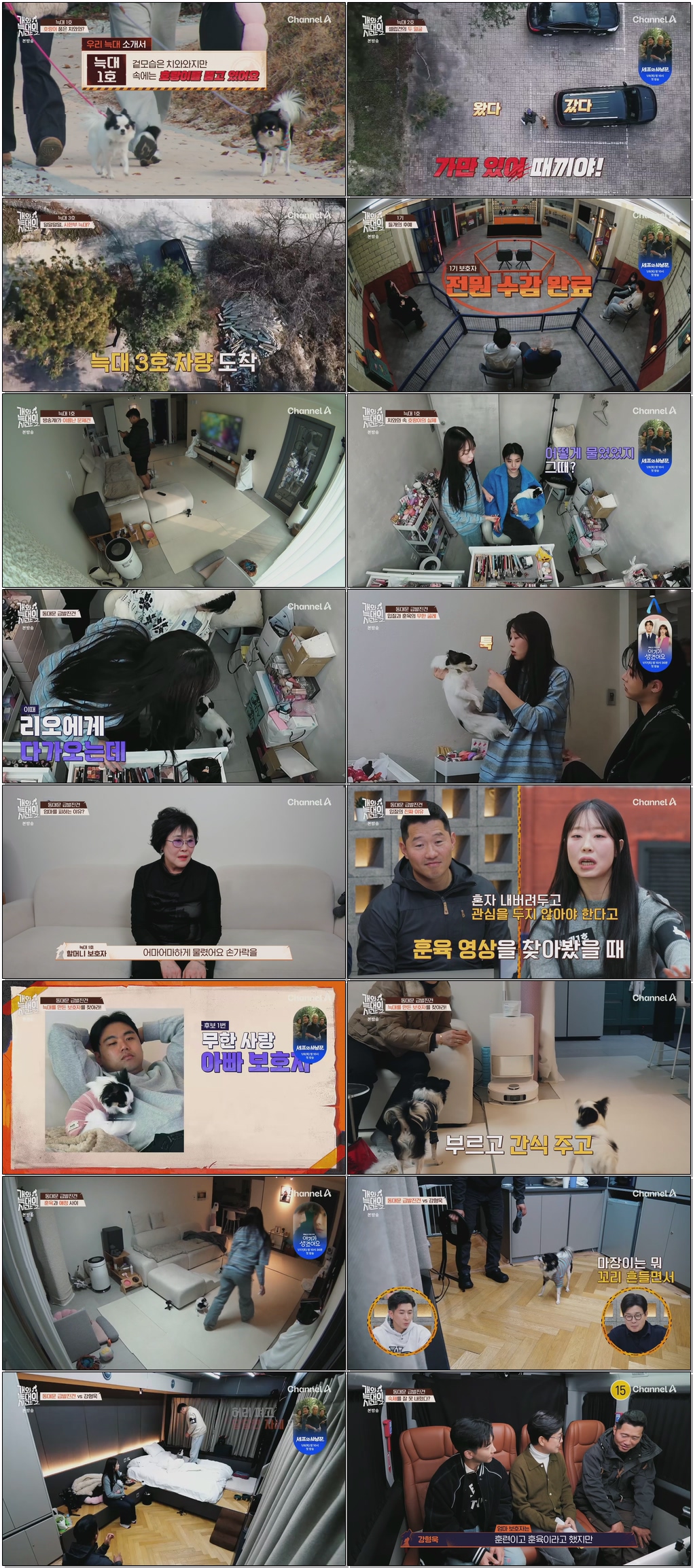 첫방송-개와 늑대의 시간 시즌2.E01.260107.1080p.H264-F1RST