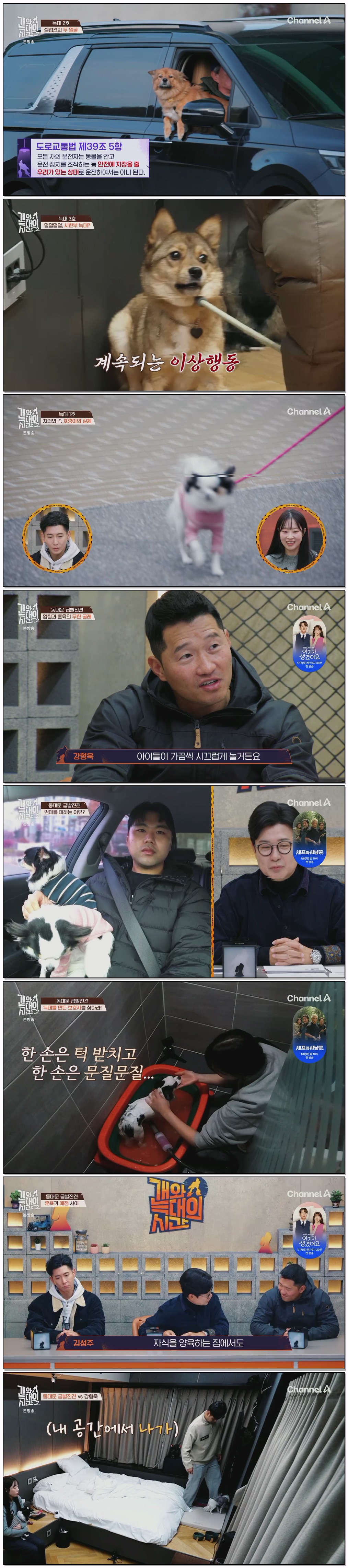 개와 늑대의 시간 시즌2.E01.260107.1080p.H264-F1RST