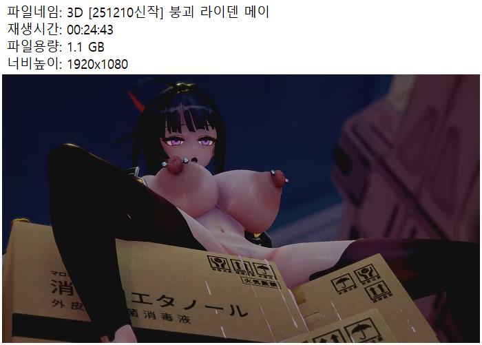 스리디 붕괴 라이덴 메이