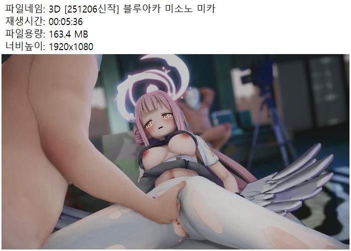 스리디 블루아카 미소노 미카