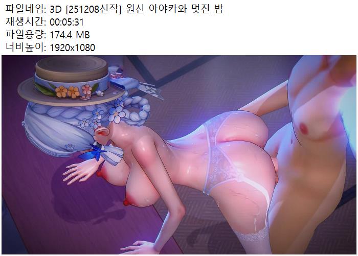 스리디 아야카와 멋진 밤