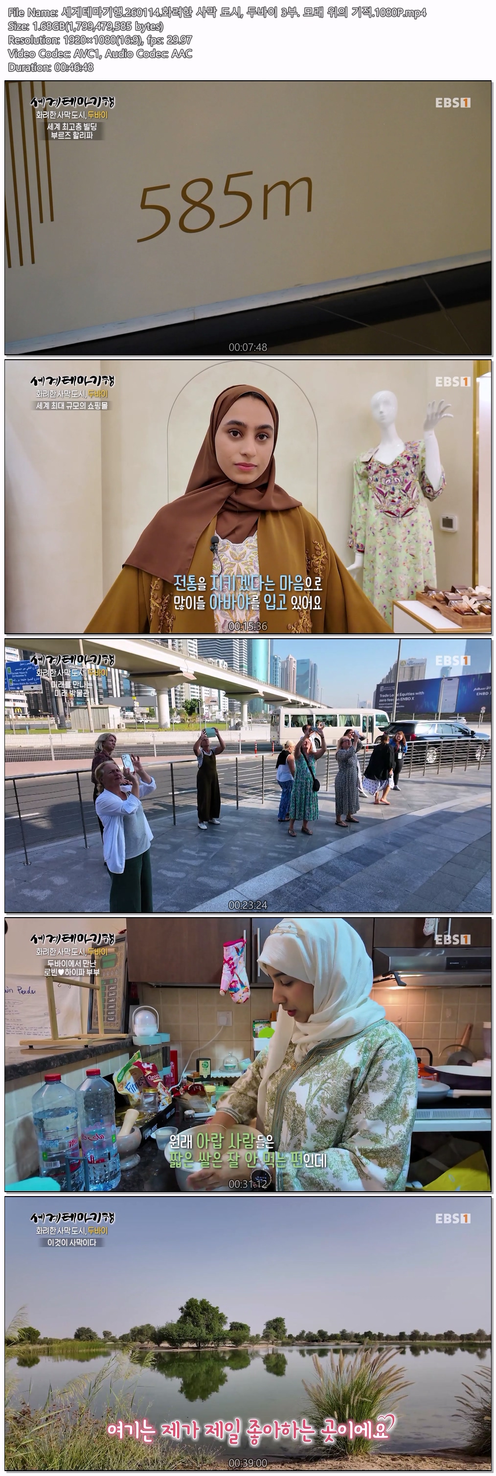 세계테마기행.260114.화려한 사막 도시, 두바이 3부. 모래 위의 기적.1080P