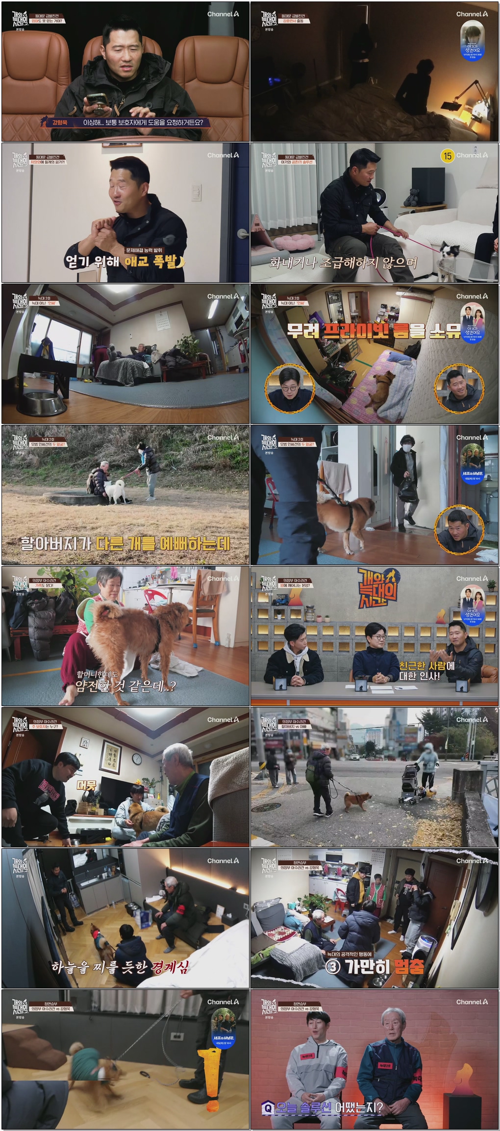 개와 늑대의 시간 시즌2.E02.260114.1080p.H264-F1RST