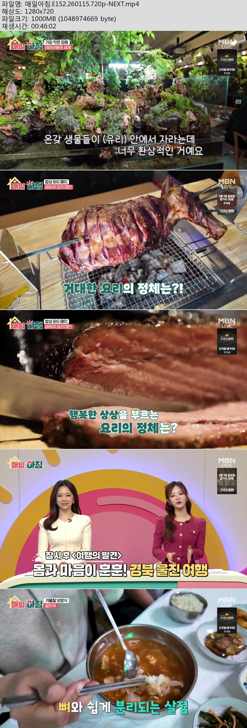 매일아침.E152.260115.720p-NEXT