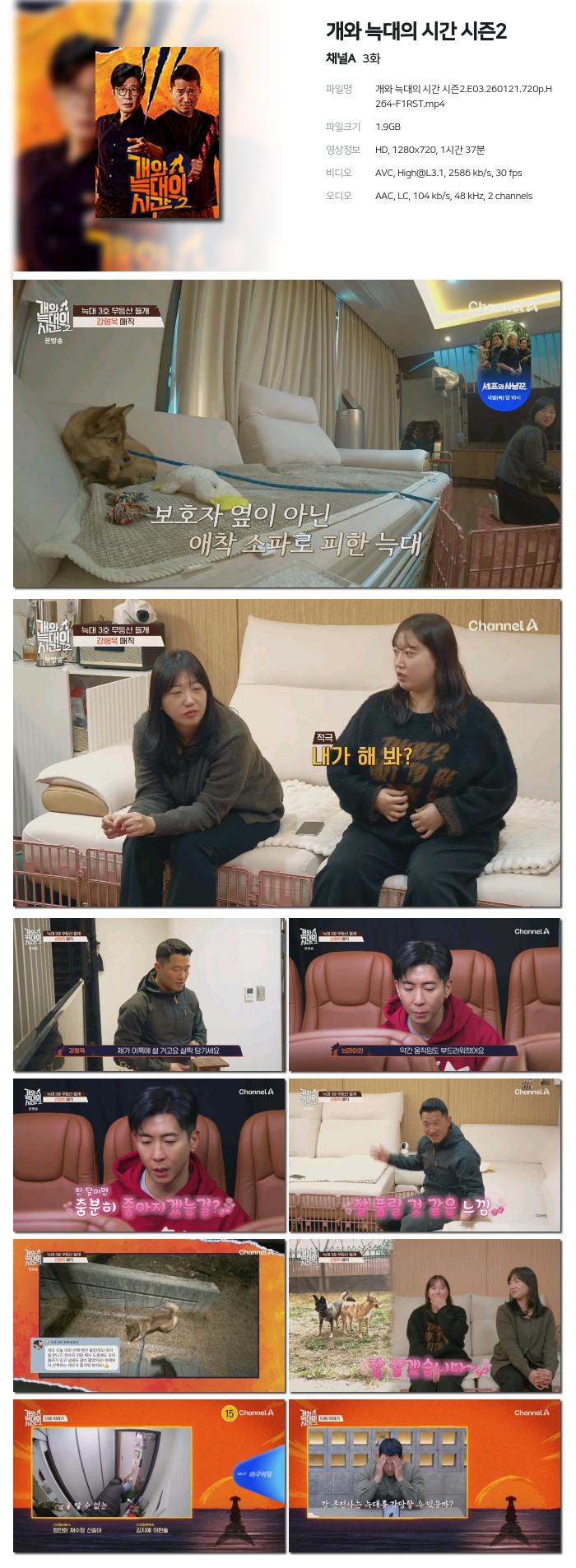 [채널A] 개와 늑대의 시간 시즌2.E03.260121.720p.H264-F1RST