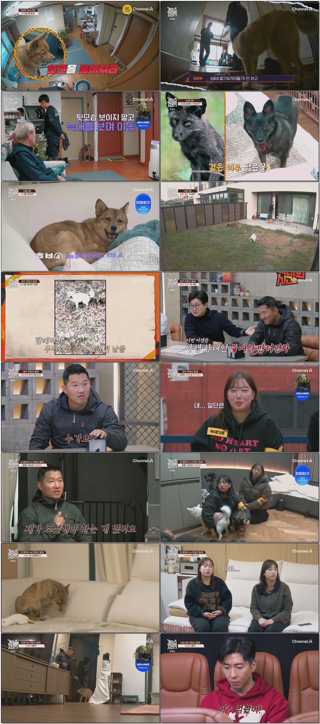 개와 늑대의 시간 시즌2.E03.260121.1080p.H265
