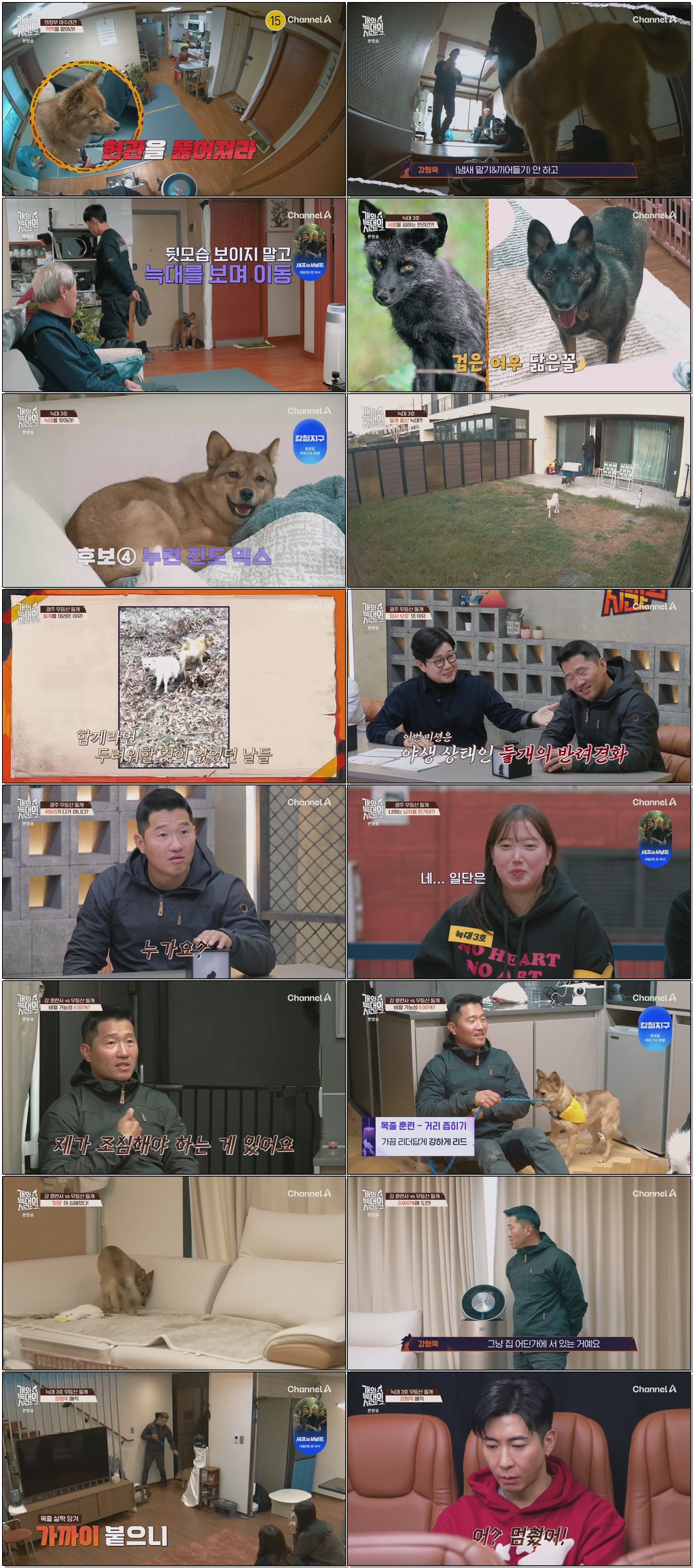 개와 늑대의 시간 시즌2.E03.260121 .720p.H265