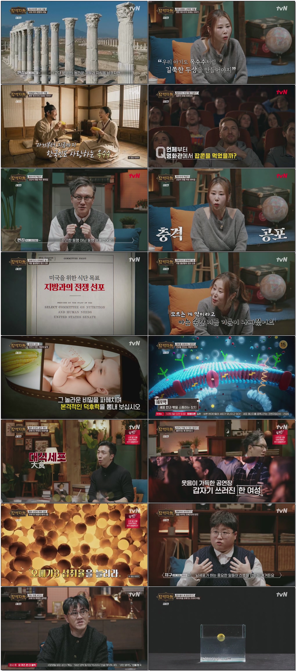 잡학자들.E14.260121 .720p.H265