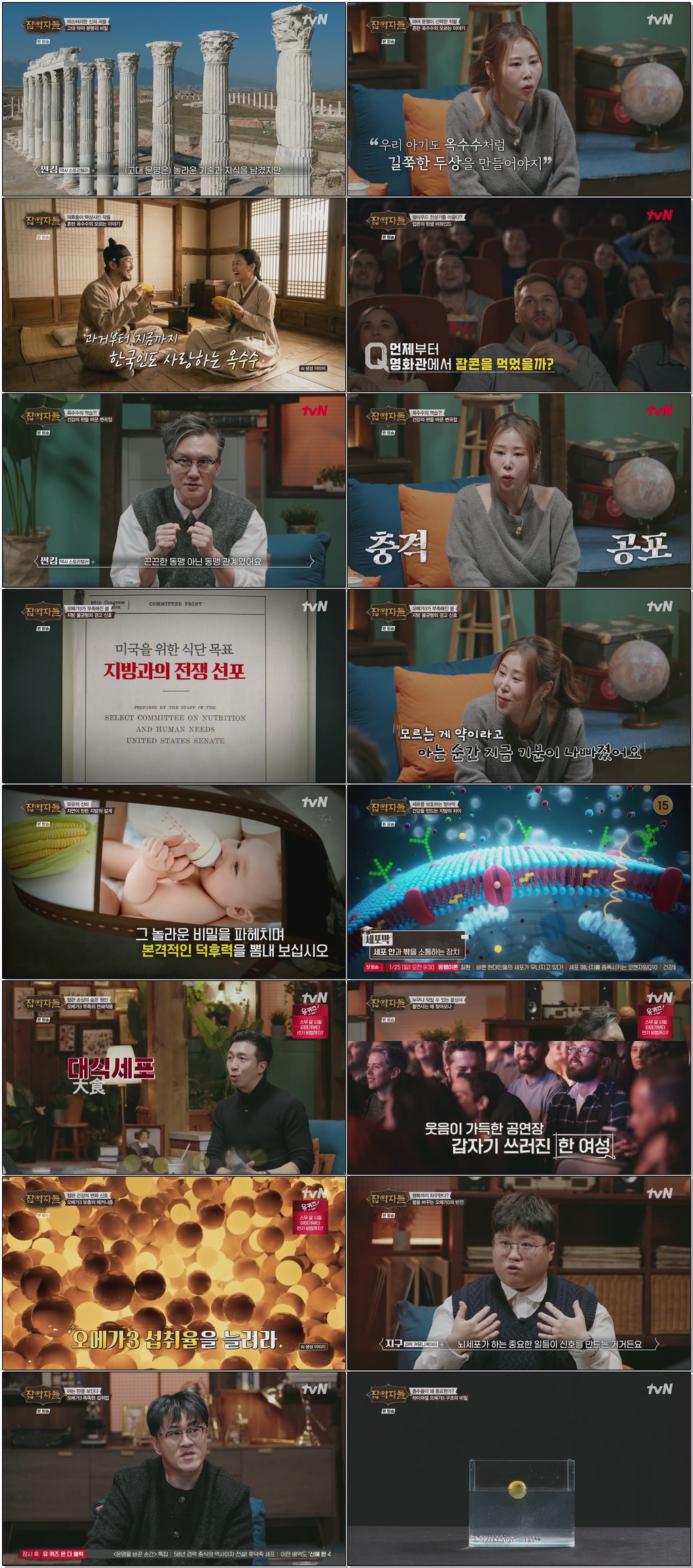잡학자들.E14.260121.1080p.H265