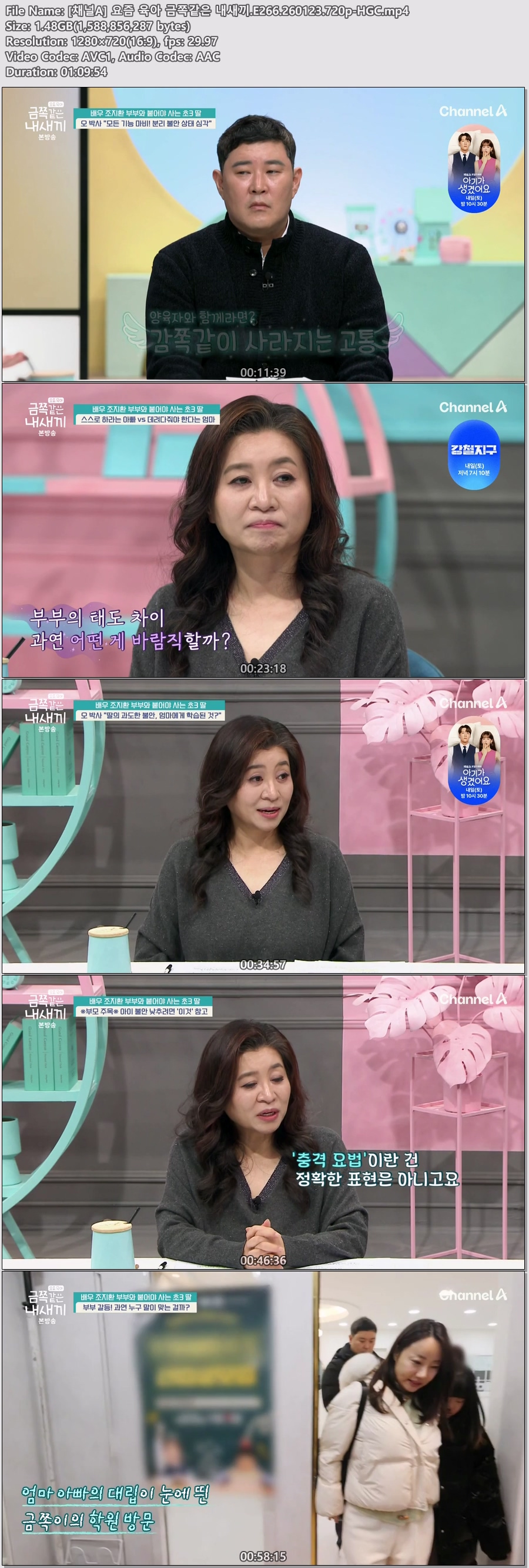 [채널A] 요즘 육아 금쪽같은 내새끼.E266.260123.720p-HGC