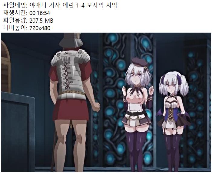 19애니 기사 에린 1-4 자막
