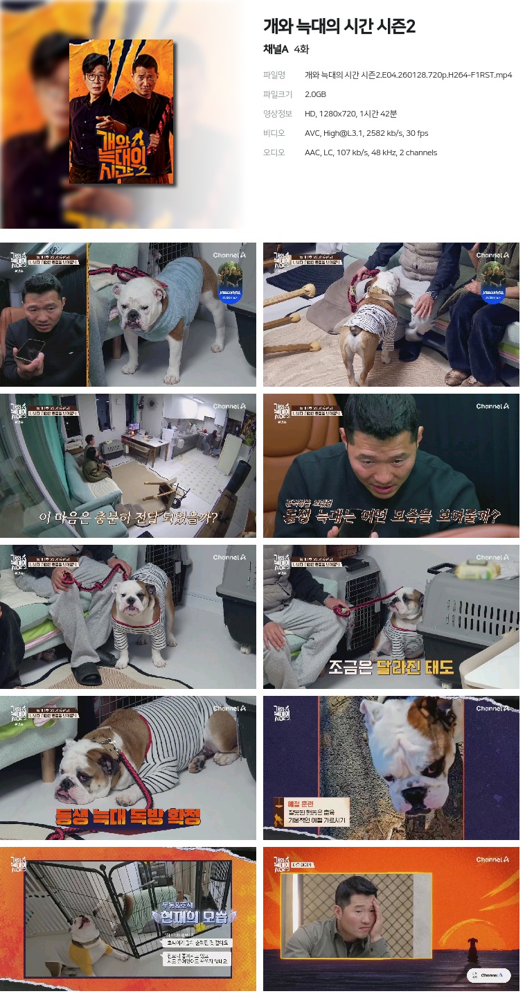 [채널A] 개와 늑대의 시간 시즌2.E04.260128.720p.H264-F1RST