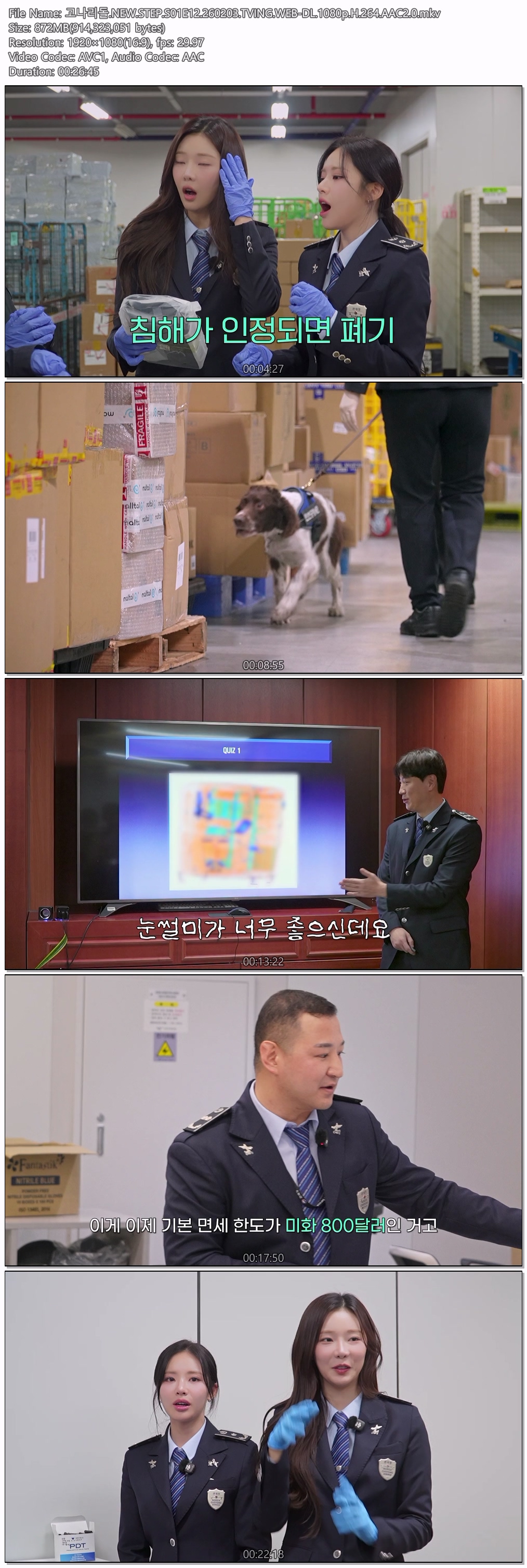 고나리돌.NEW.STEP.S01E12.260203.TVING.WEB-DL.1080p.H.264.AAC2.0