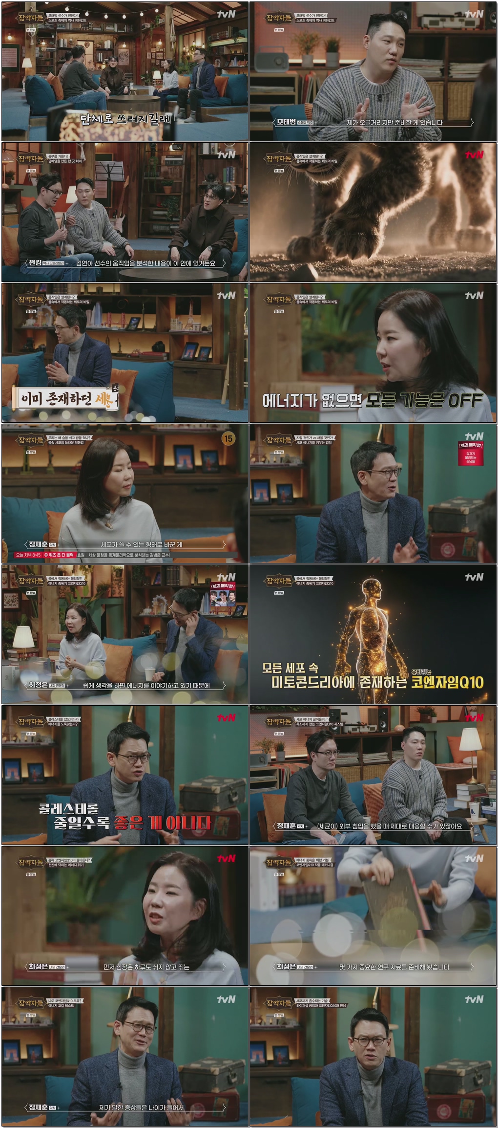잡학자들.E16.260204 .720p.H265