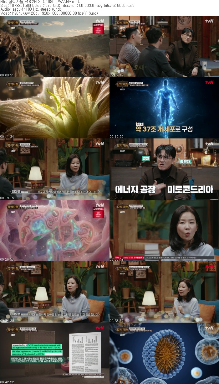 잡학자들.E16.260204.1080p.WANNA