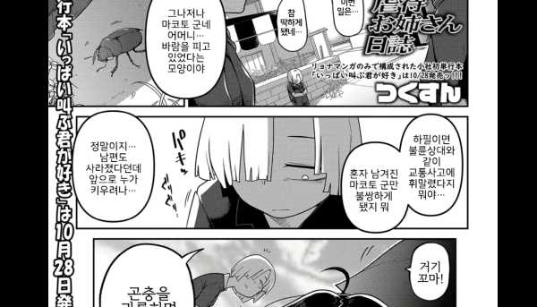 19만화-가학 누나 기록