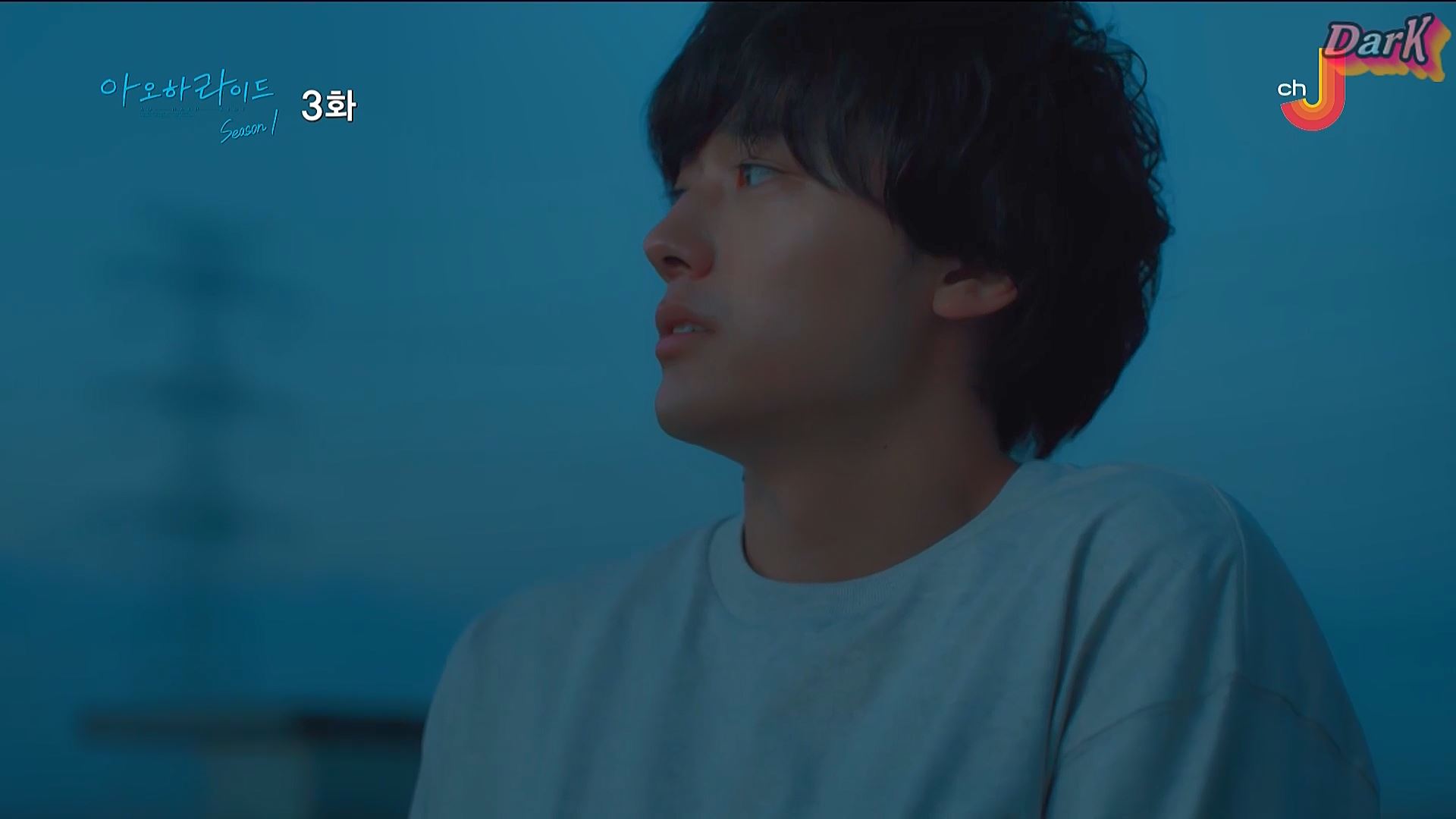 일드. 만화원작 다시 만난 첫사랑 아오하라이드 8부작