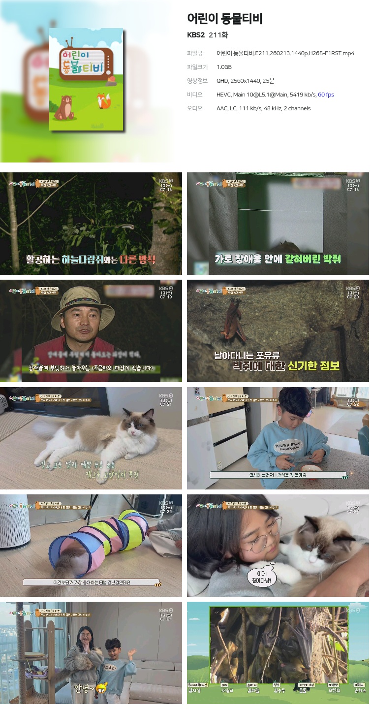 [KBS2] 어린이 동물티비.E211.260213.1440p.H265-F1RST