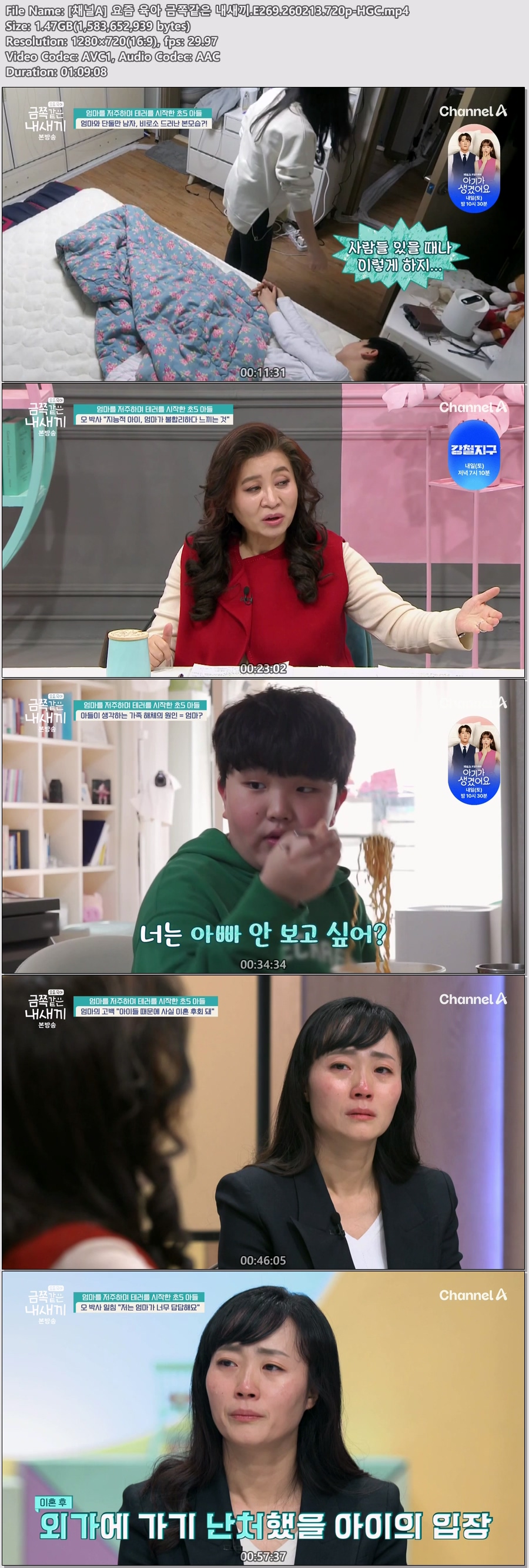 [채널A] 요즘 육아 금쪽같은 내새끼.E269.260213.720p-HGC