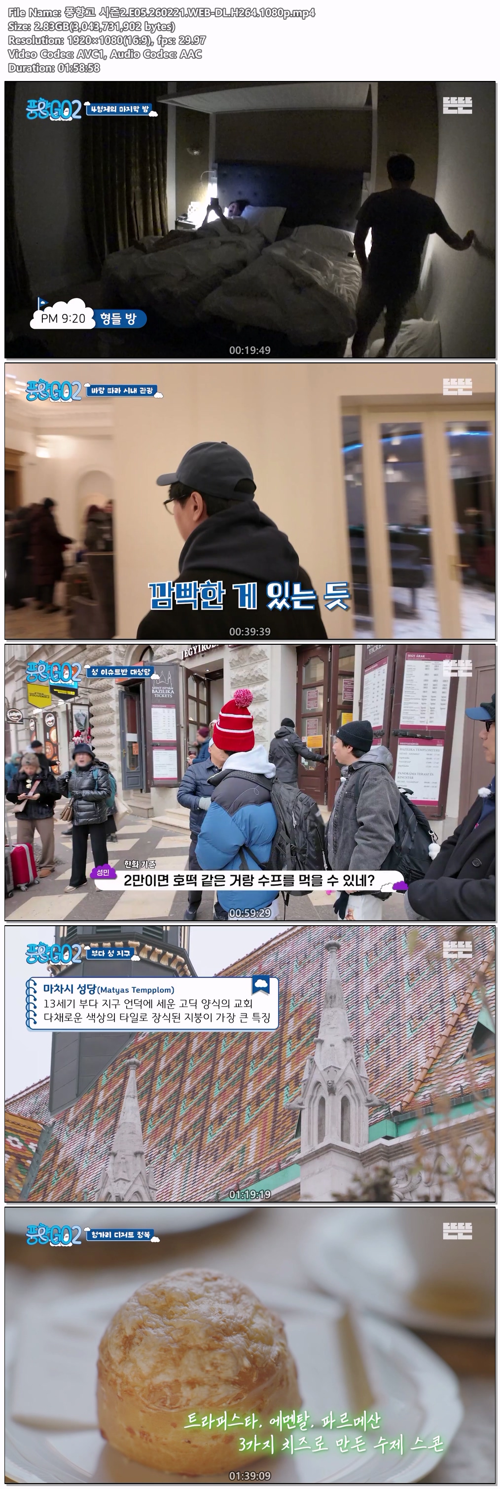 풍향고 시즌2.E05.260221.WEB-DL.H264.1080p