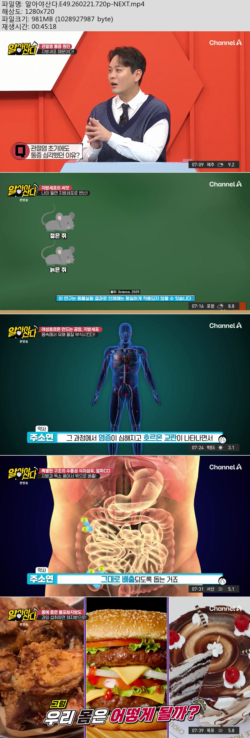 알아야산다.E49.260221.720p-NEXT