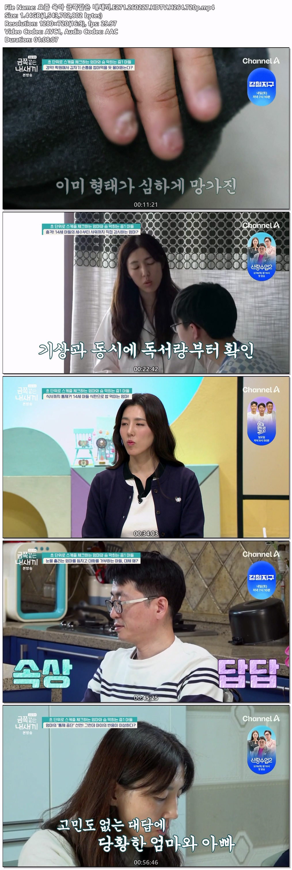 요즘 육아 금쪽같은 내새끼.E271.260227.HDTV.H264.720p