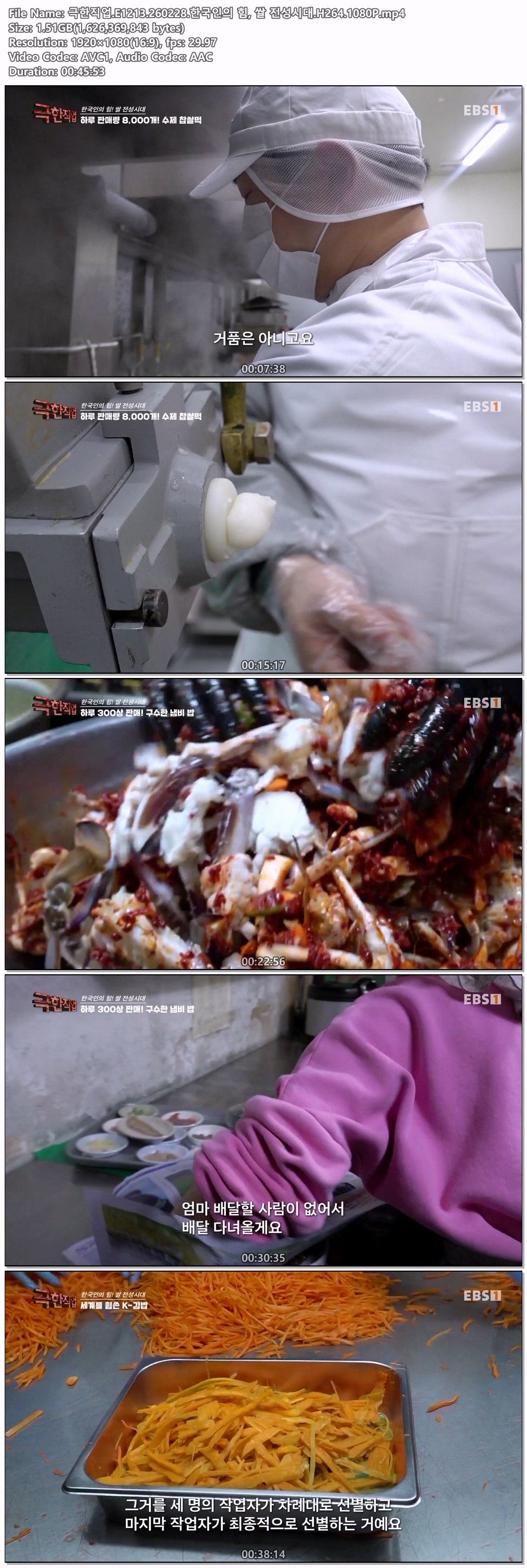 극한직업.E1213.260228.한국인의 힘, 쌀 전성시대.H264.1080P