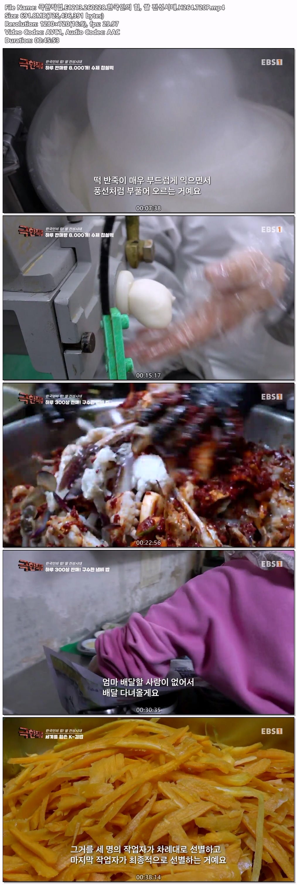 극한직업.E1213.260228.한국인의 힘, 쌀 전성시대.H264.720P